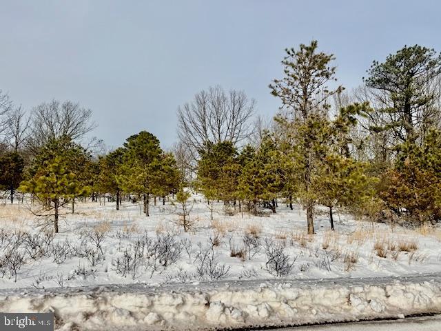 0 East Players Way Hazleton, PA 18202 - Photo 2 of 3 a view of a yard covered with snow in front of house