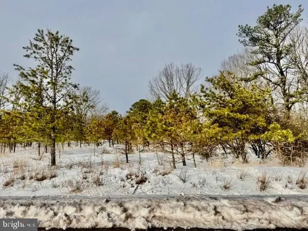 a view of a yard covered with snow in a yard