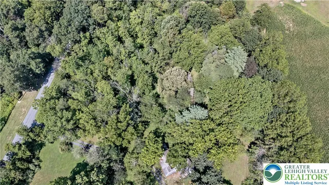 a view of a lush green field