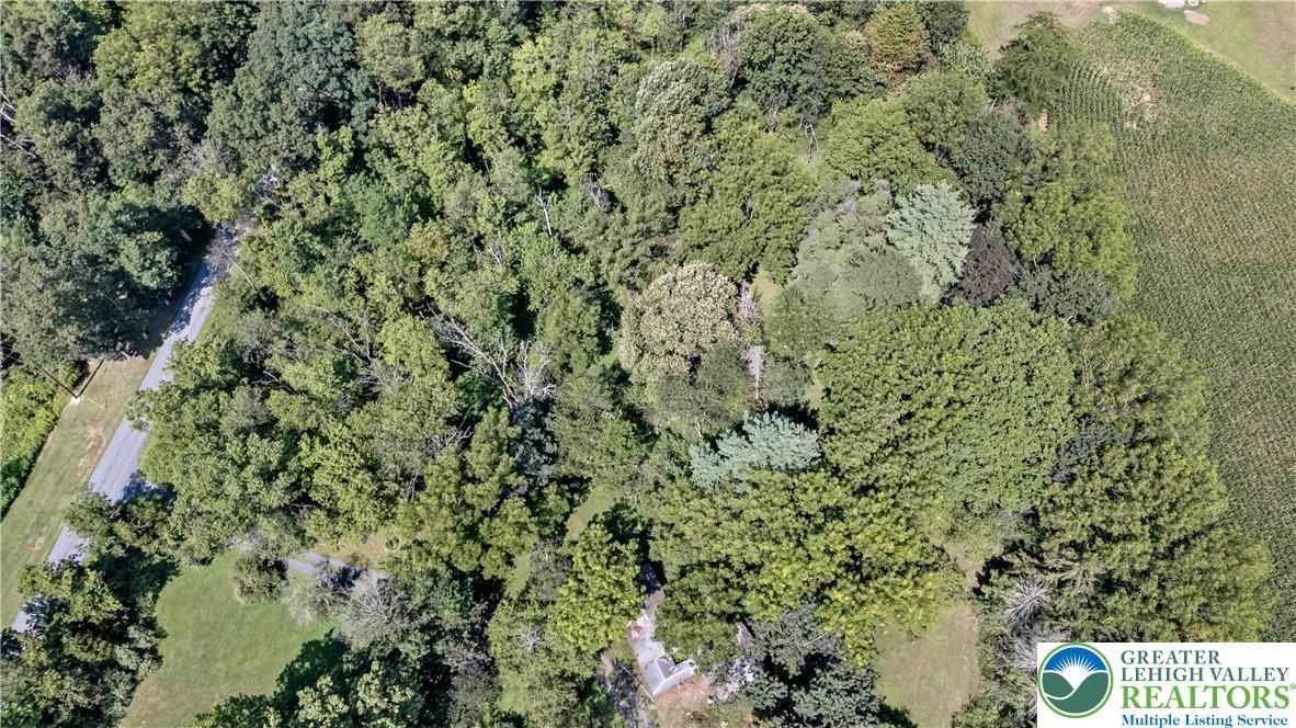 7531 Borman Road New Tripoli, PA 18066 - Photo 3 of 13 a view of a lush green field