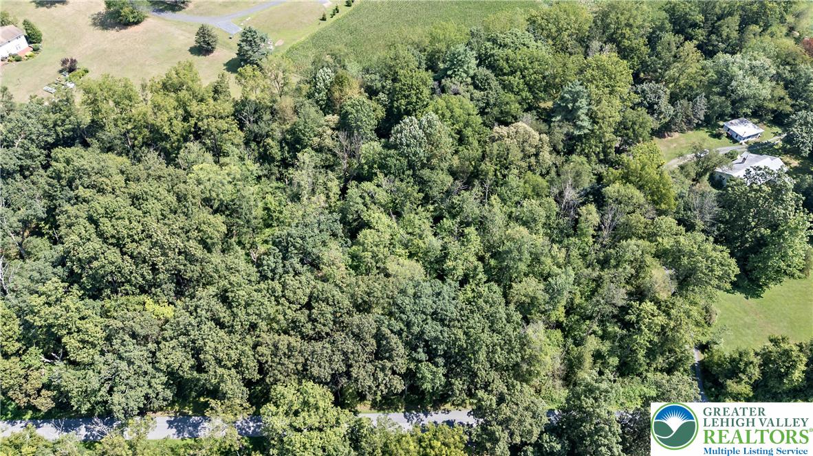 7531 Borman Road New Tripoli, PA 18066 - Photo 4 of 13