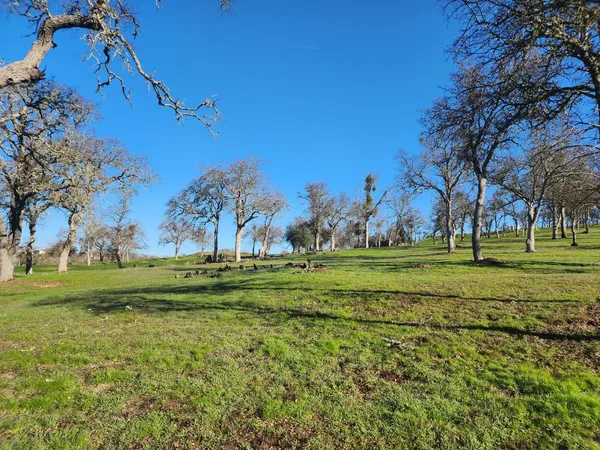 a view of a golf course with a trees