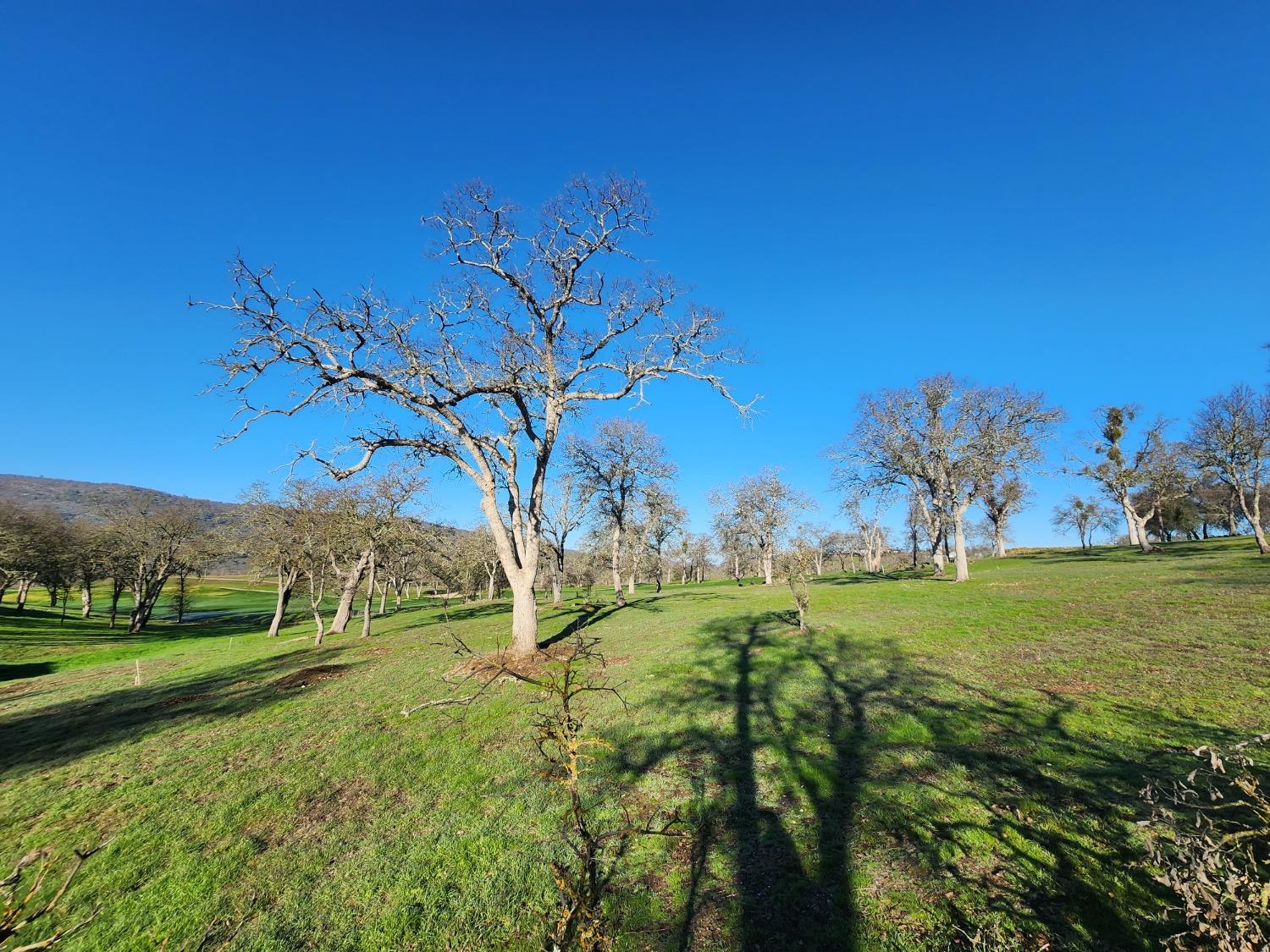 1013 Knolls Drive Copperopolis, CA 95228 - Photo 22 of 71