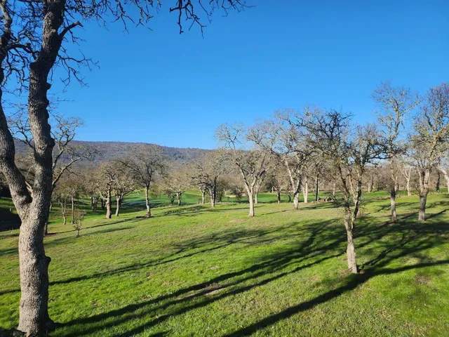 $125,000 | 1013 Knolls Drive, Copperopolis, CA 95228