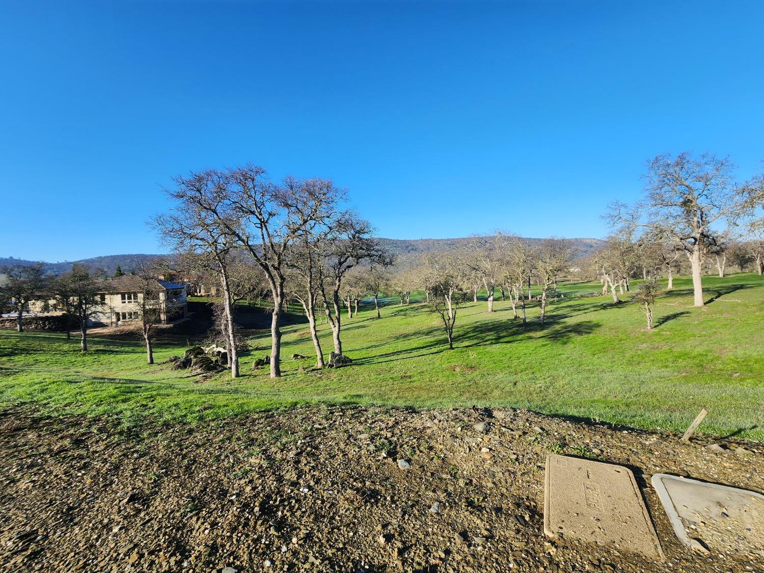 1013 Knolls Drive Copperopolis, CA 95228 - Photo 26 of 71