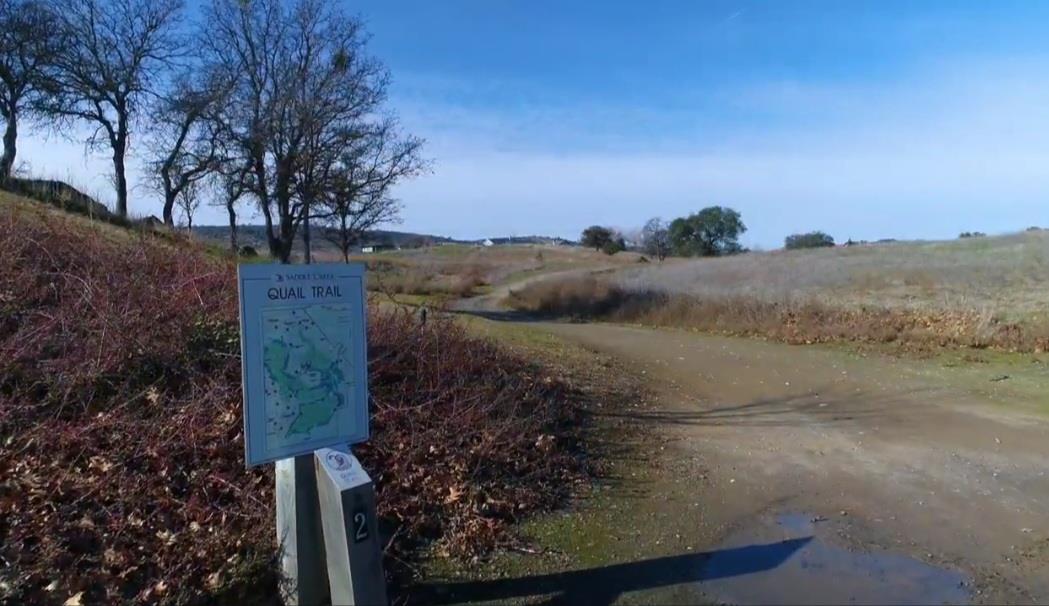 1013 Knolls Drive Copperopolis, CA 95228 - Photo 57 of 71 Quail Trail awaits for hiking, birdwatching and nature sightings.