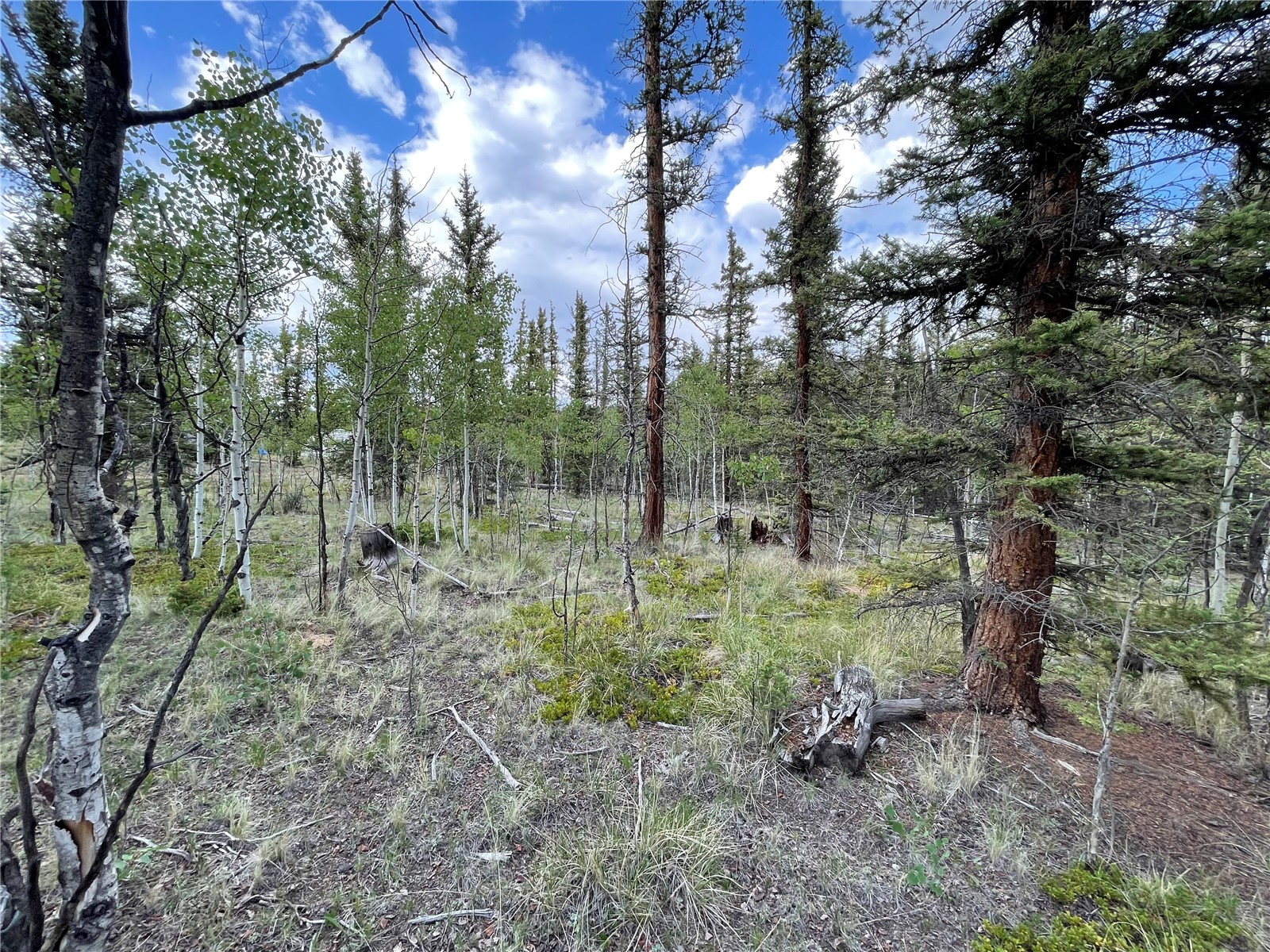 80 Haida Road Como, CO 80456 - Photo 7 of 31 a view of a garden