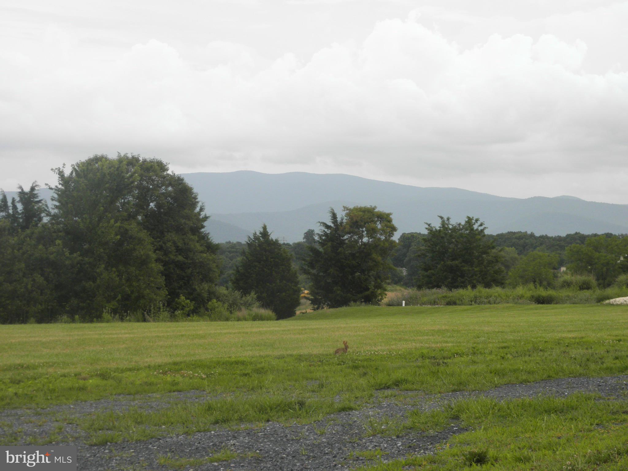 208 John Rice Road Front Royal, VA 22630 - Photo 5 of 21 a view of a field with trees in background