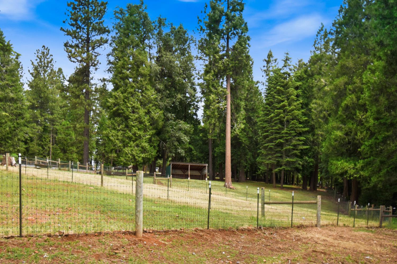 29070 Ridge View Road Foresthill, CA 95631 - Photo 40 of 66