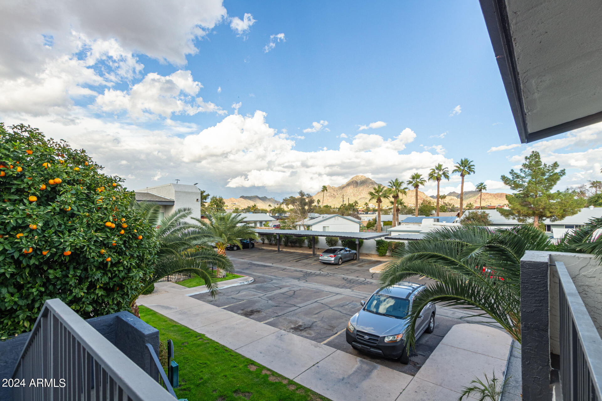 1602 East Ocotillo Road, Unit 121 Phoenix, AZ 85016 - Photo 25 of 31 a view of a yard with patio