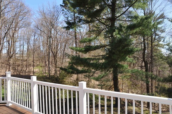 135 Beverly Road Brookline, MA 02467 - Photo 17 of 21