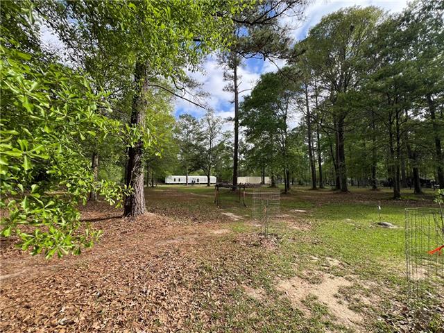 16030 Gunboat Landing Road Maurepas, LA 70449 - Photo 13 of 26