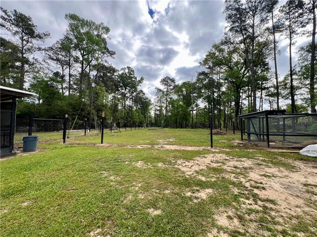 16030 Gunboat Landing Road Maurepas, LA 70449 - Photo 18 of 26