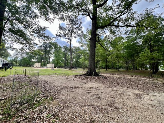 16030 Gunboat Landing Road Maurepas, LA 70449 - Photo 24 of 26