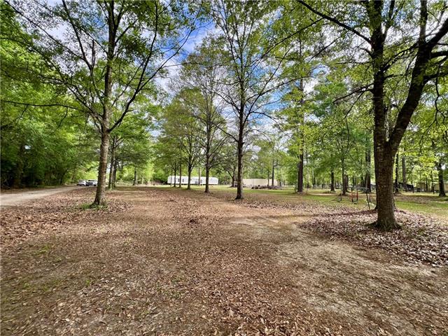 16030 Gunboat Landing Road Maurepas, LA 70449 - Photo 10 of 26