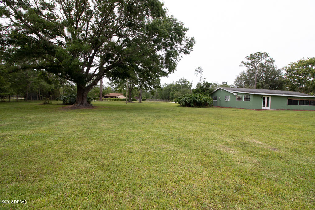 356 Western Road New Smyrna Beach, FL 32168 - Photo 14 of 17 IMG_8691