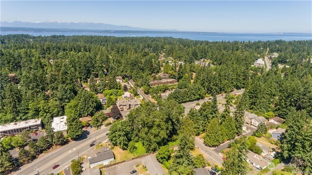 23601 Edmonds Way Edmonds, WA 98026 - Photo 13 of 17 a view of a city with lush green forest
