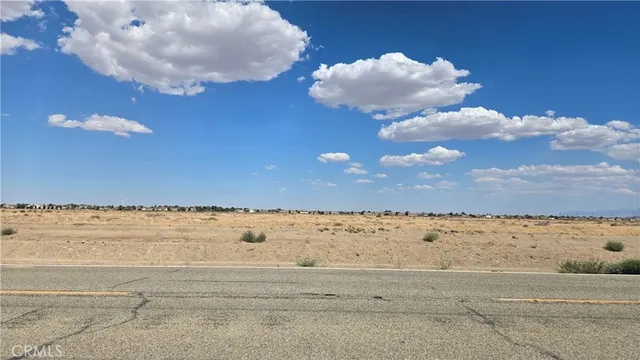 a view of a dry yard