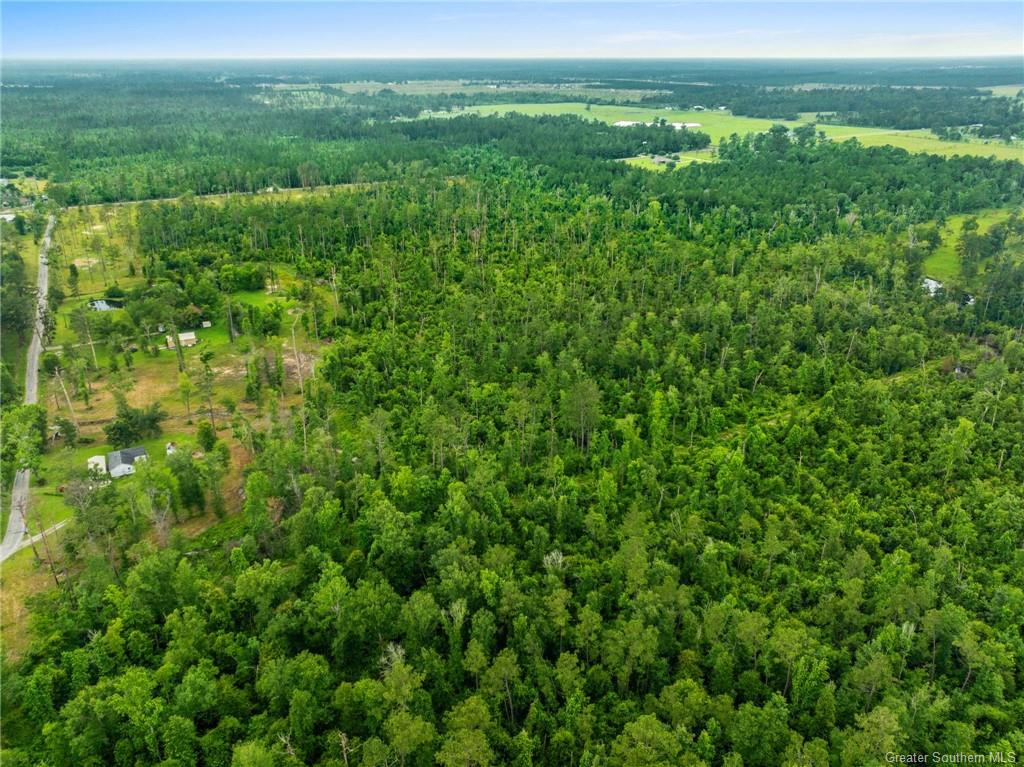 0 Lonnie Cole Road Ragley, LA 70657 - Photo 6 of 9