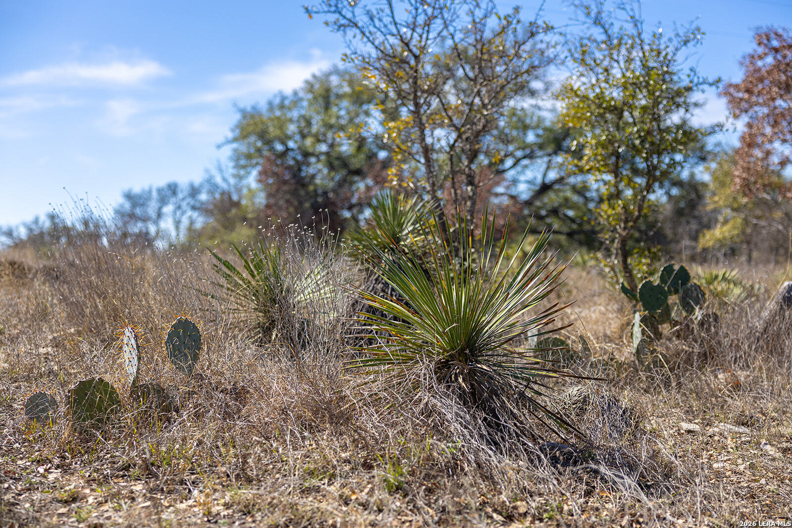 6623 Starks Road Mason, TX 76856 - Photo 58 of 114 Gallery Image 58