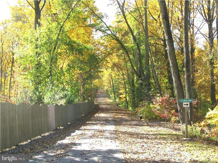 202 South Radnor Chester Road Villanova, PA 19085 - Photo 3 of 25 a view of a yard with plants and trees