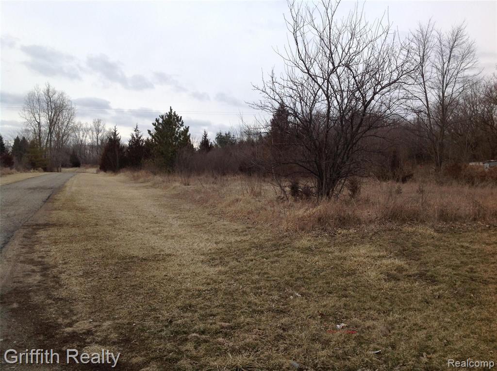 Vl Mason Road Howell, MI 48843 - Photo 2 of 5