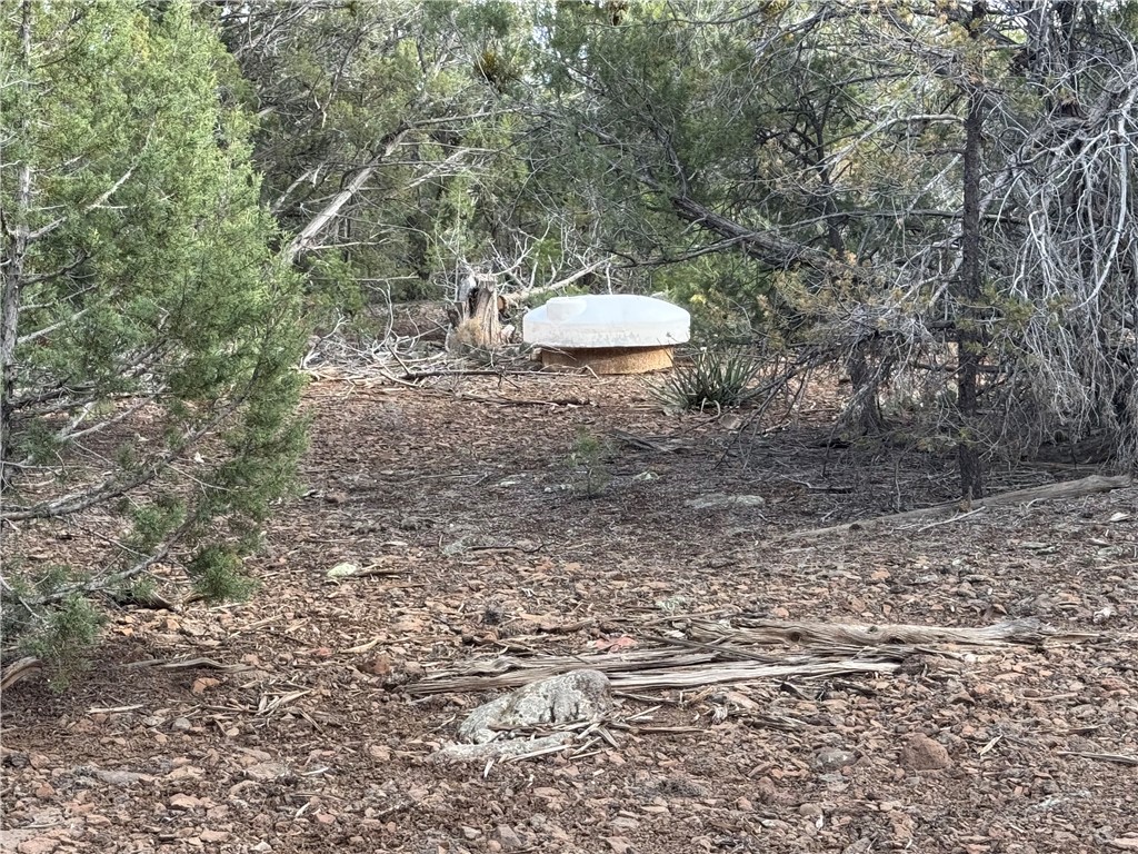 34745 West Running Shadow Road Seligman, AZ 86337 - Photo 46 of 52