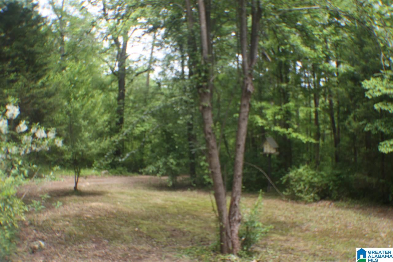 5915 County Road 275 Fort Payne, AL 35967 - Photo 12 of 22