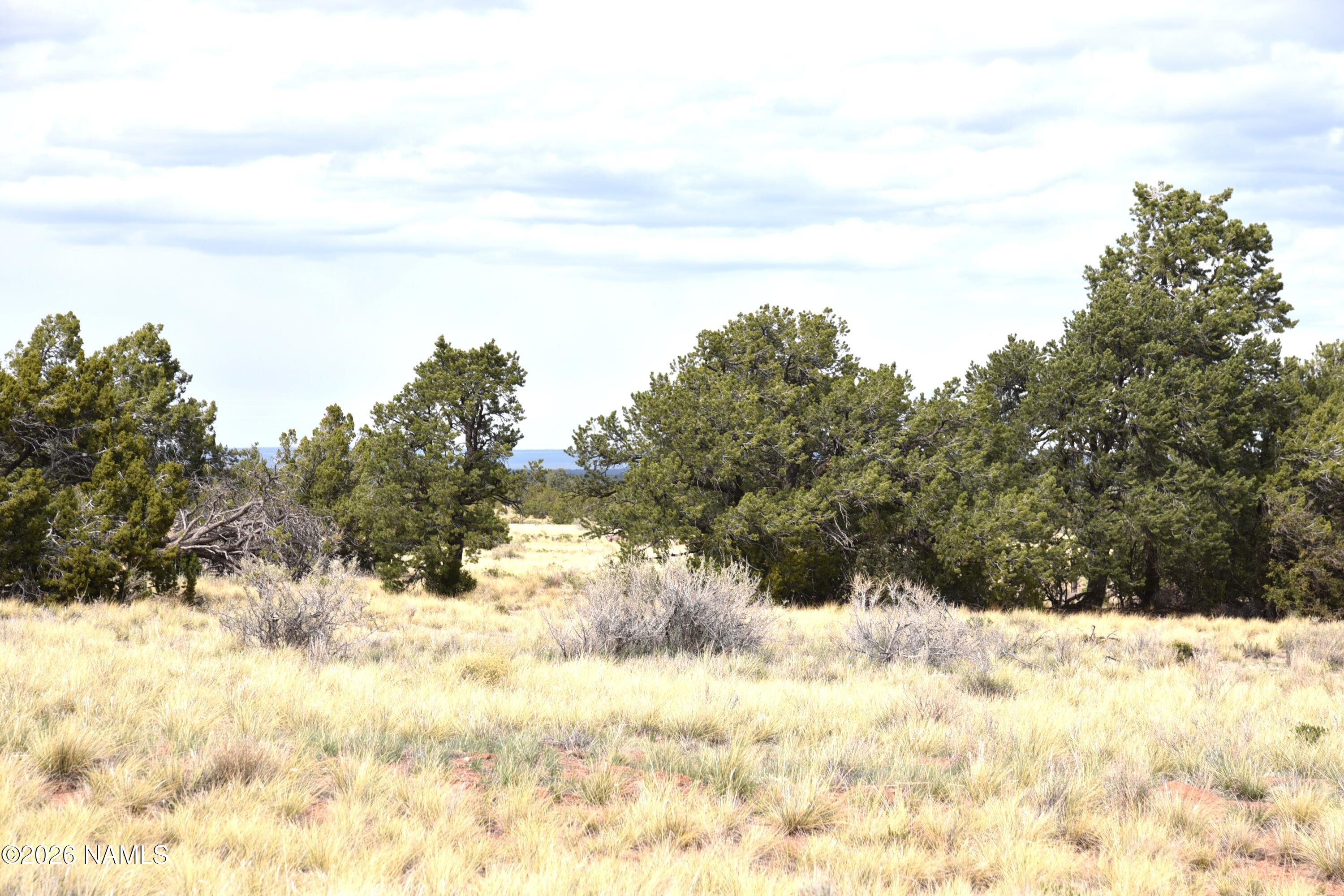 4948 East Larkspur Road Williams, AZ 86046 - Photo 11 of 14 DSC_5025