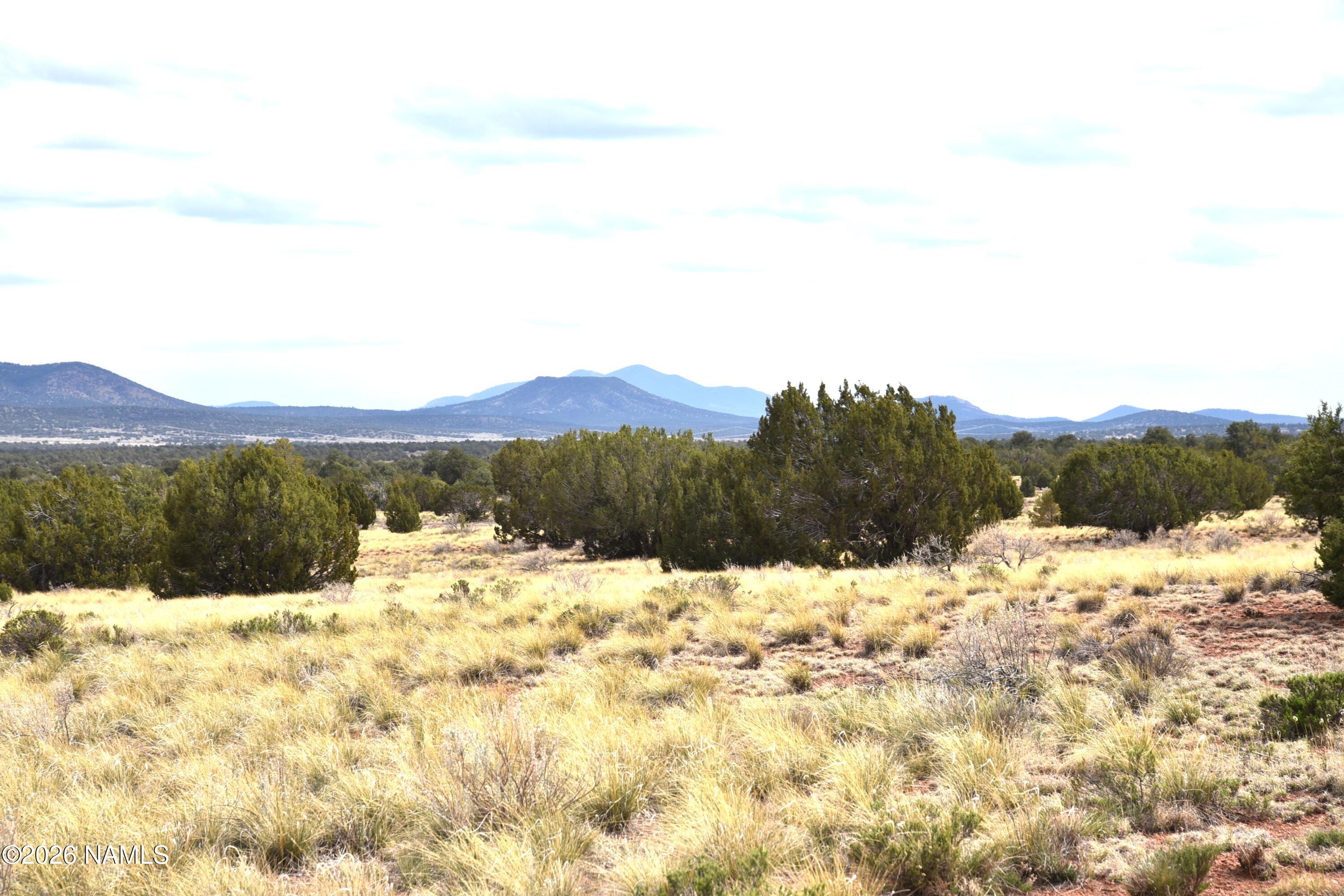4948 East Larkspur Road Williams, AZ 86046 - Photo 2 of 14 DSC_5016