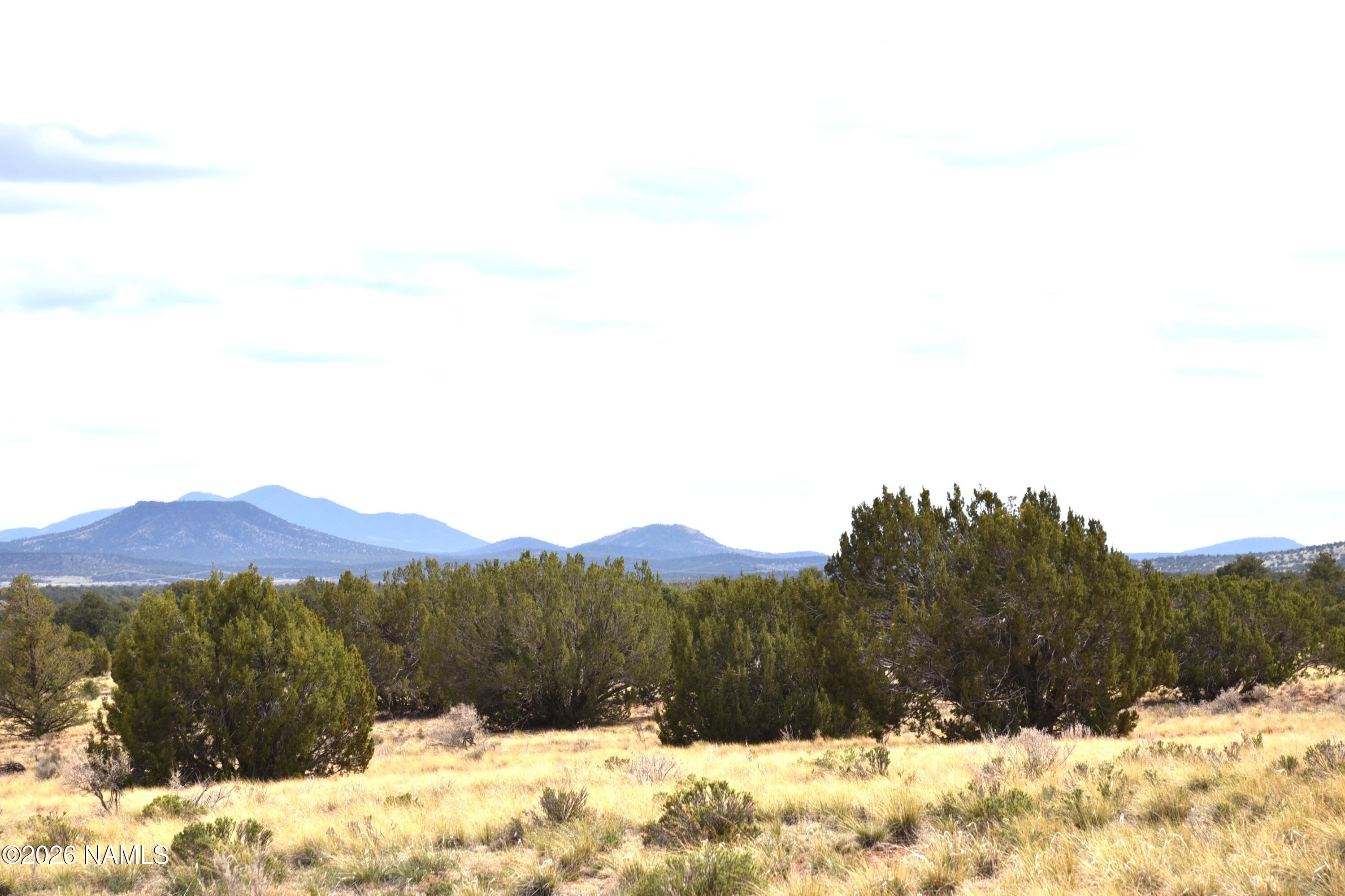 4948 East Larkspur Road Williams, AZ 86046 - Photo 3 of 14 DSC_5023