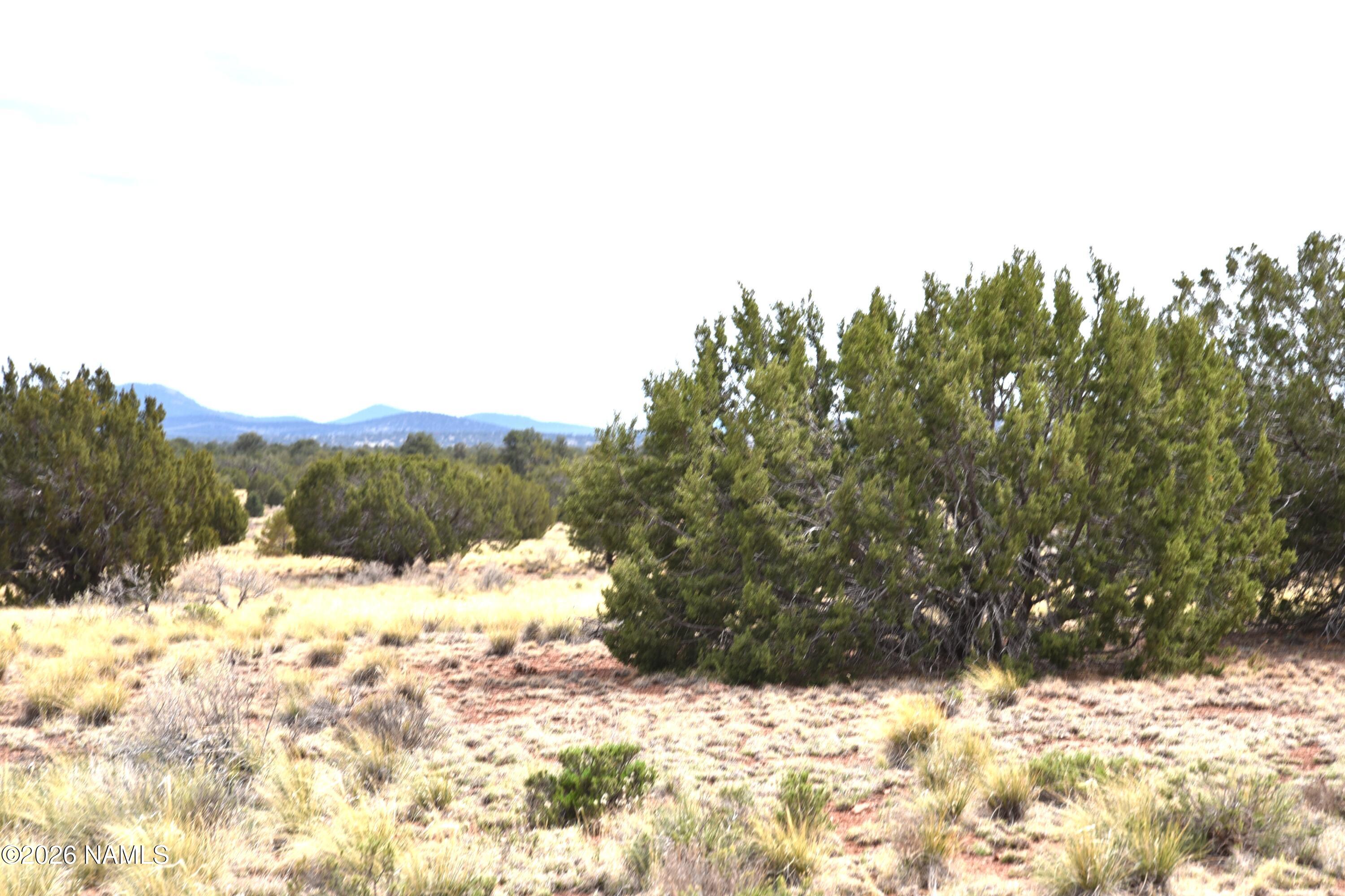 4948 East Larkspur Road Williams, AZ 86046 - Photo 4 of 14 DSC_5018