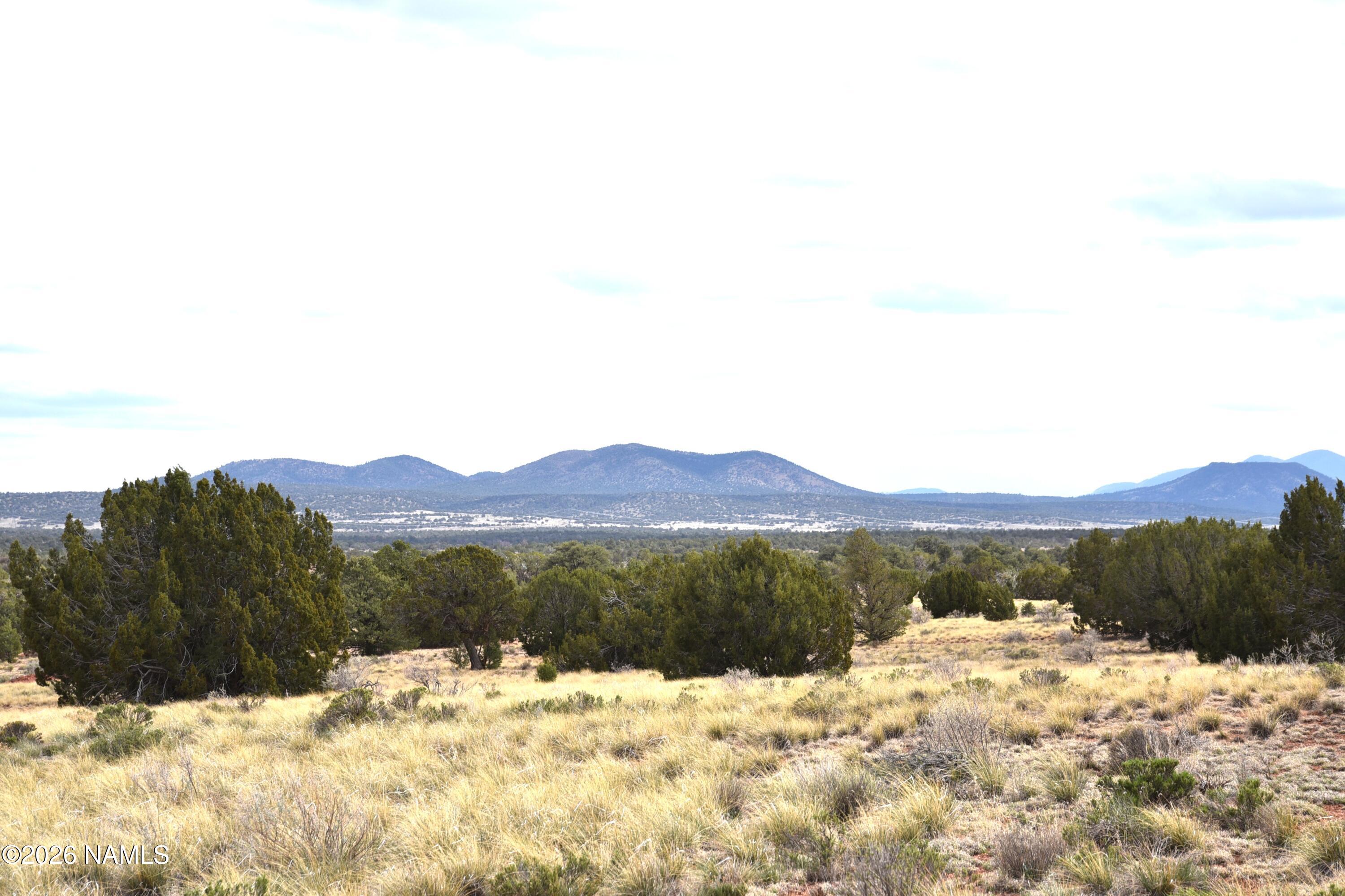 4948 East Larkspur Road Williams, AZ 86046 - Photo 6 of 14 DSC_5015