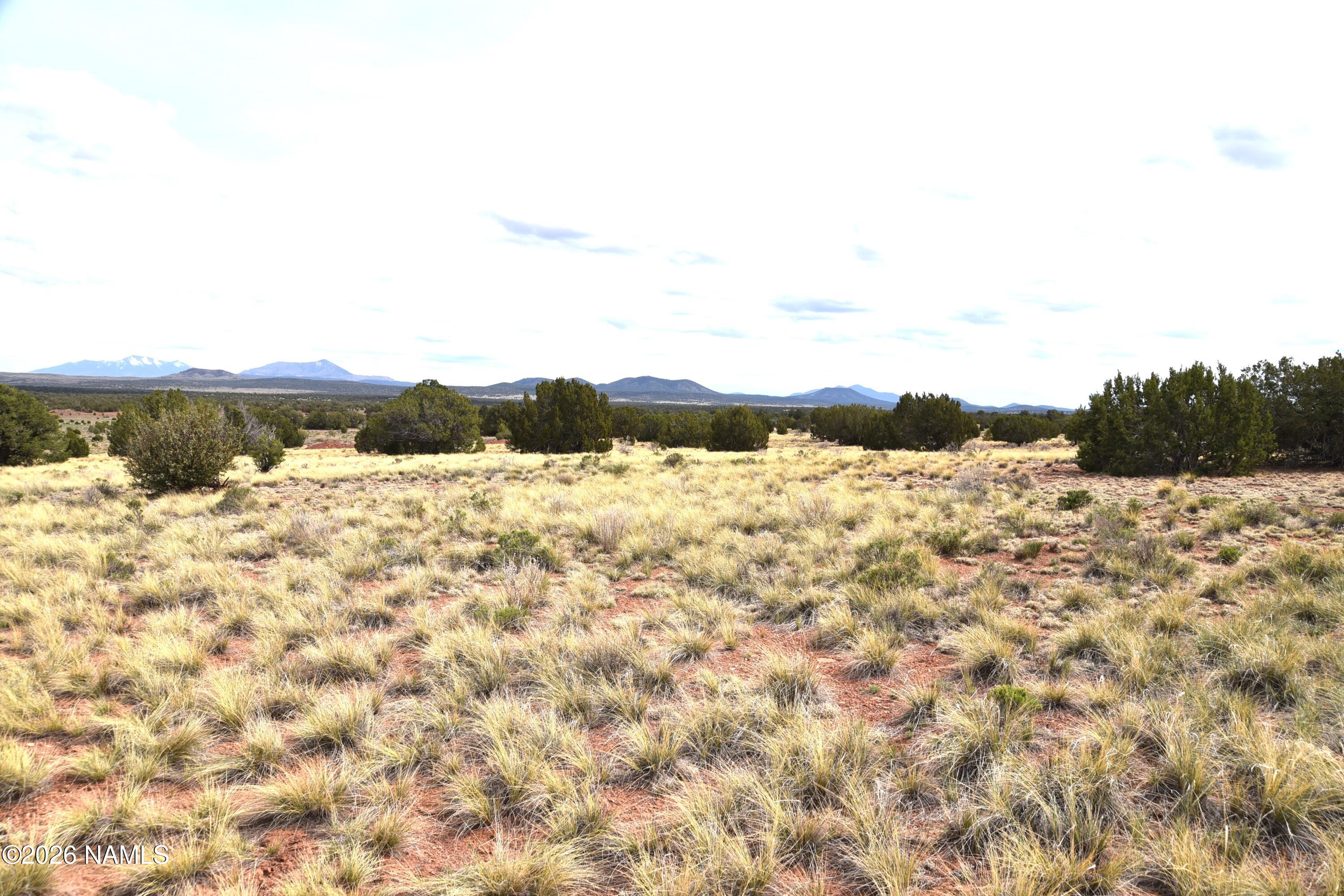4948 East Larkspur Road Williams, AZ 86046 - Photo 7 of 14 DSC_5019