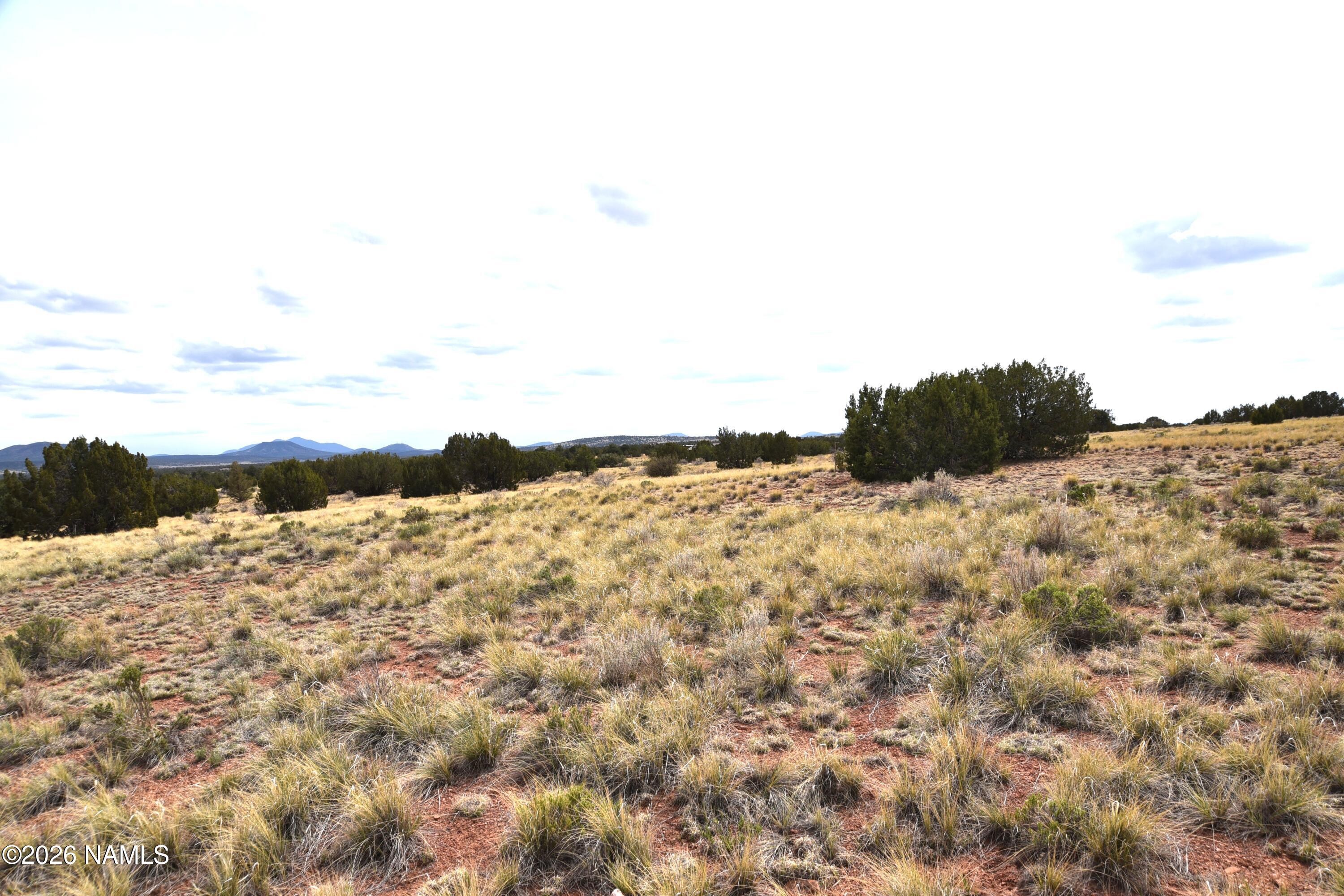 4948 East Larkspur Road Williams, AZ 86046 - Photo 8 of 14 DSC_5020