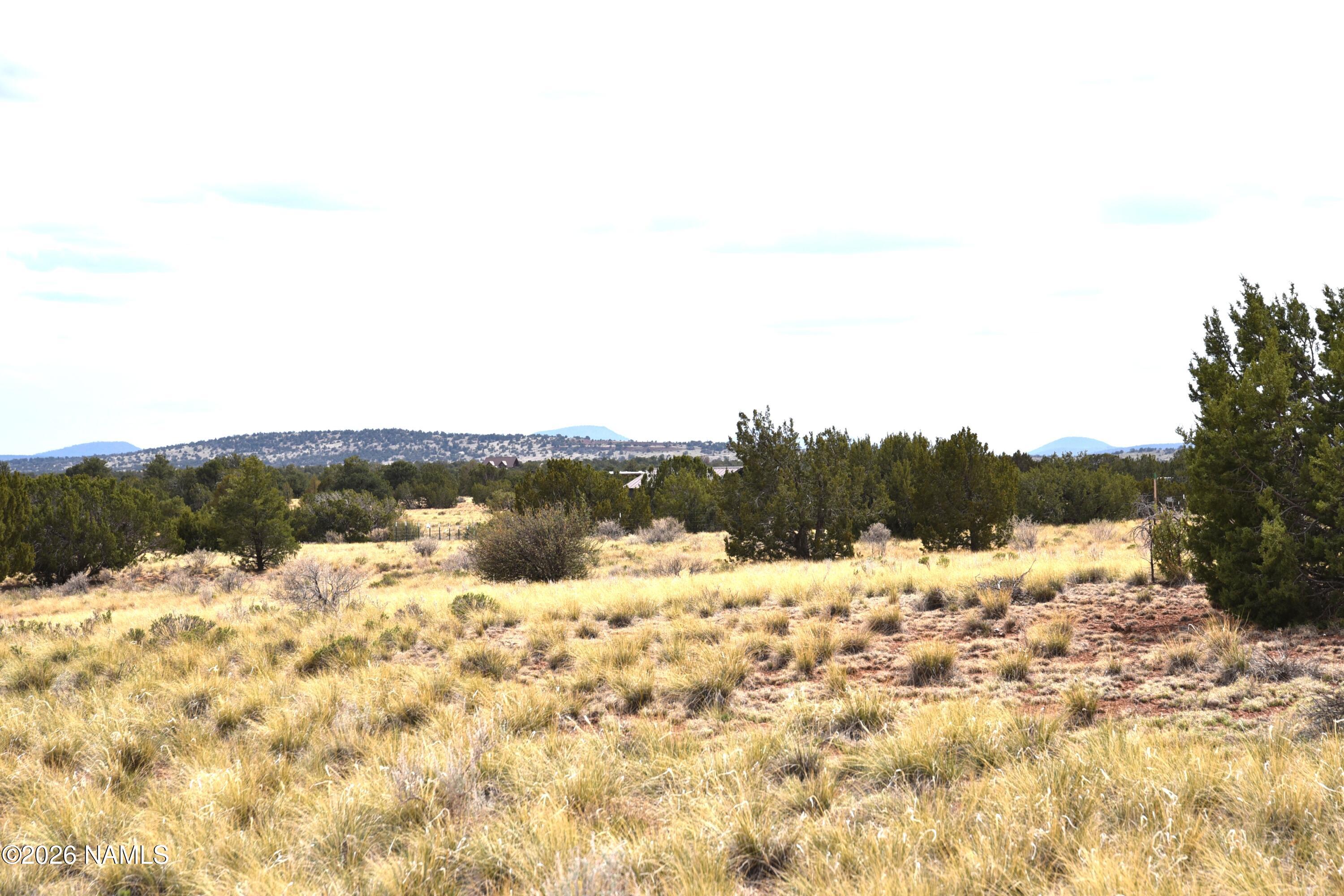 4948 East Larkspur Road Williams, AZ 86046 - Photo 9 of 14 DSC_5021