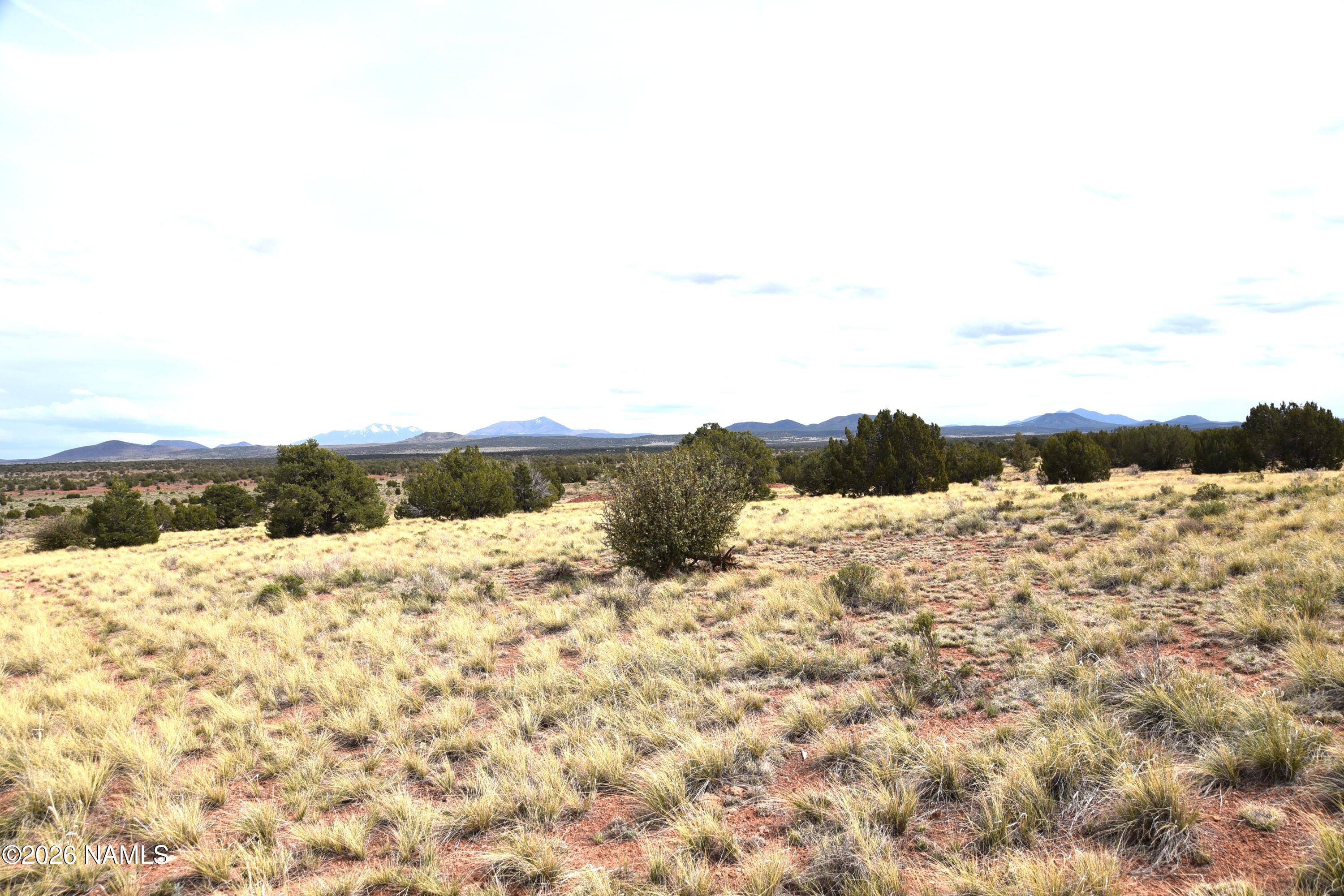 4948 East Larkspur Road Williams, AZ 86046 - Photo 10 of 14 DSC_5024