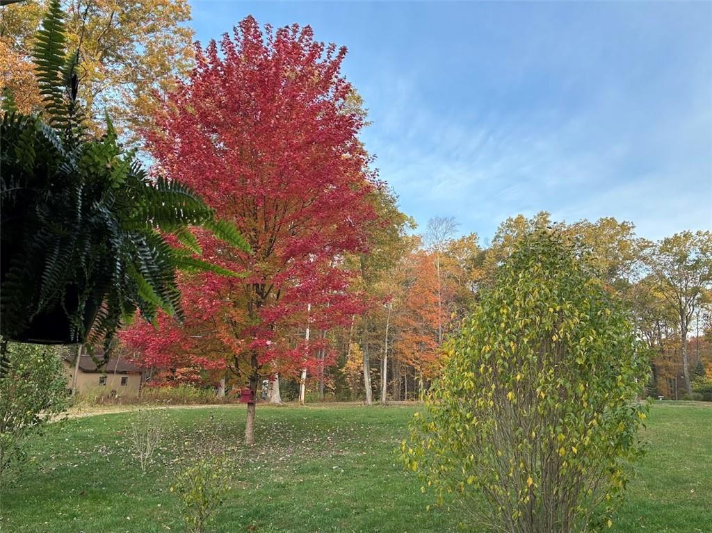 437 Chippewa Road Somerset, PA 15501 - Photo 24 of 27