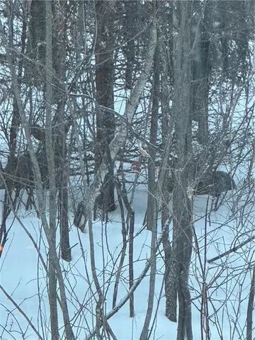 $265,000 | 437 Chippewa Road, Somerset, PA 15501