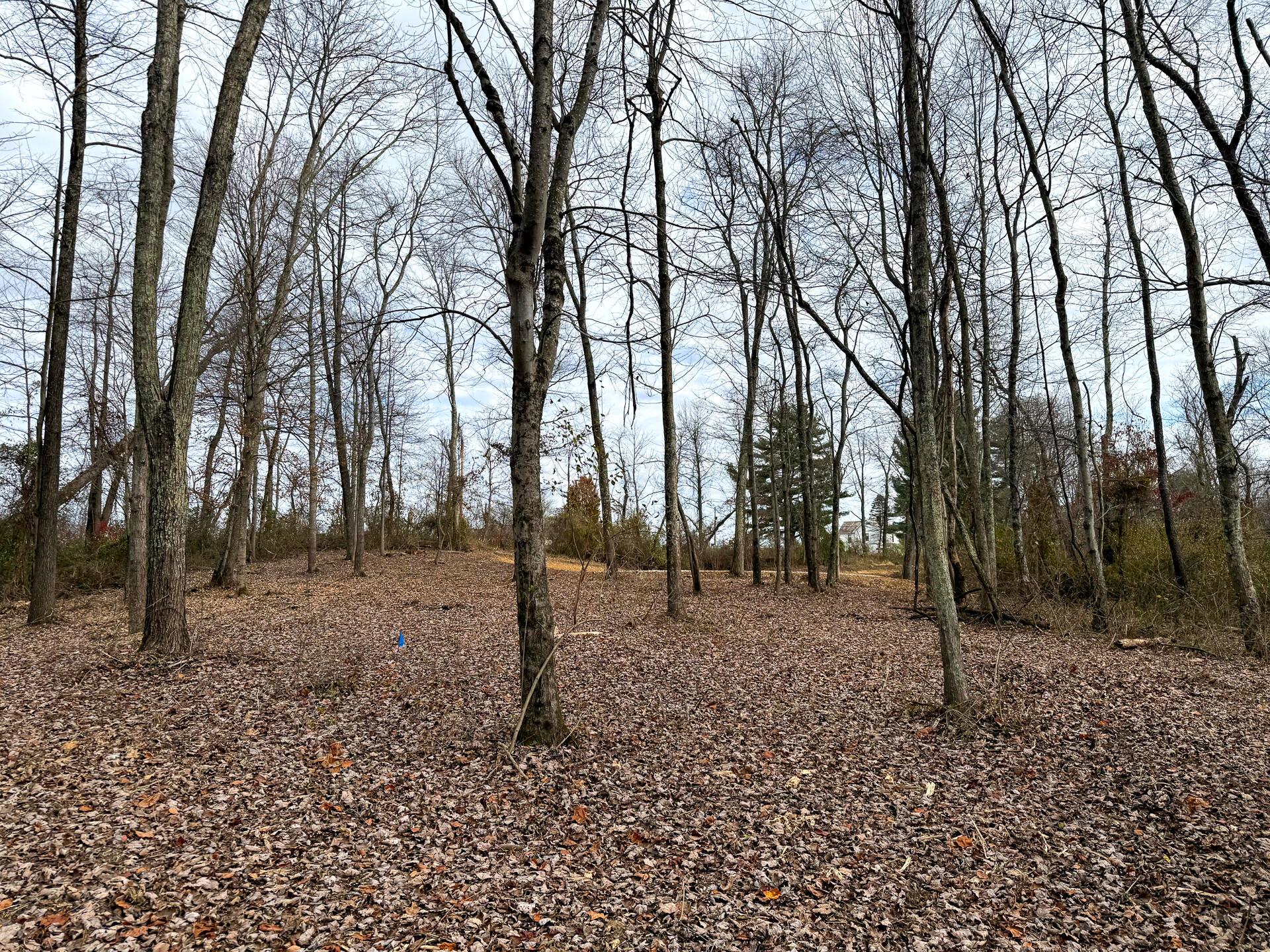 0 Dutch Ridge Road Southeast, Unit WOODS TURKEY RUN TRACT 1) New Lexington, OH 43764 - Photo 10 of 43 CT-10