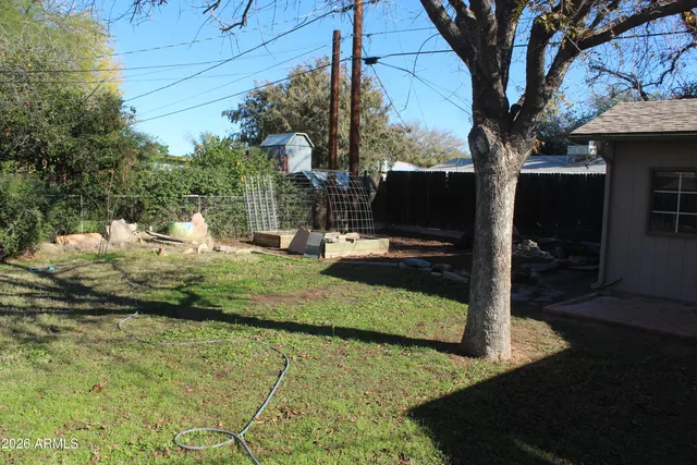 a view of a yard with plants