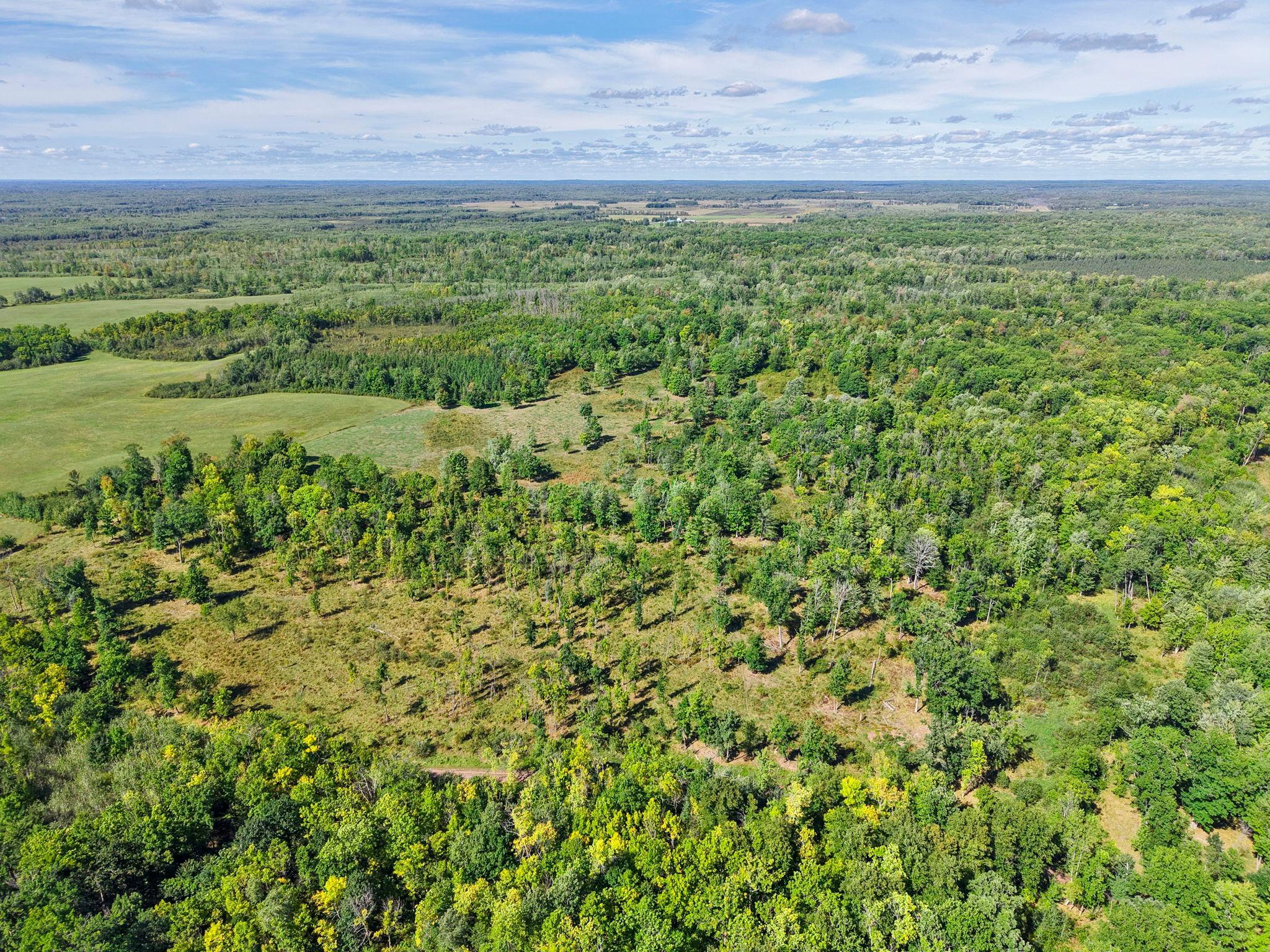 Xxx Fleming Logging Road Hinckley, MN 55037 - Photo 54 of 87 Gallery Image 54