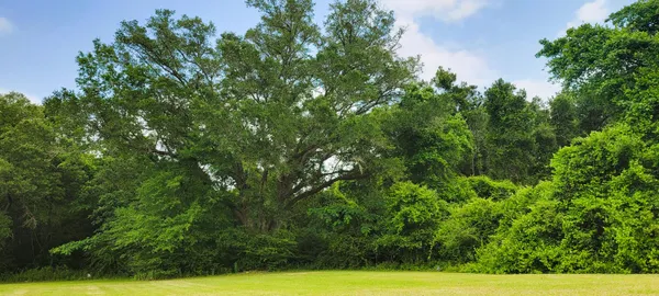 $155,000 | 231 Cottondale, Campbellton, FL 32426