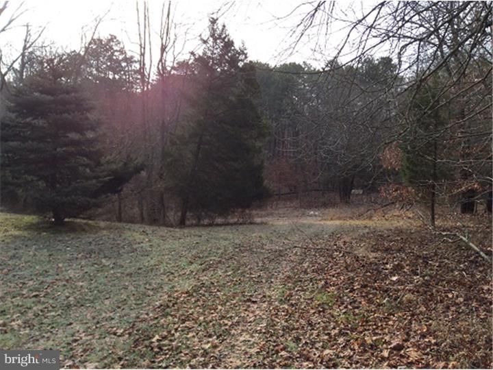 213 Watsons Mill Road Alloway, NJ 08318 - Photo 8 of 11 Gallery Image 8