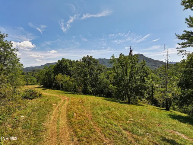 $199,000 | Tbd Tbd Willow Springs Road, Cedar Bluff, VA 24609