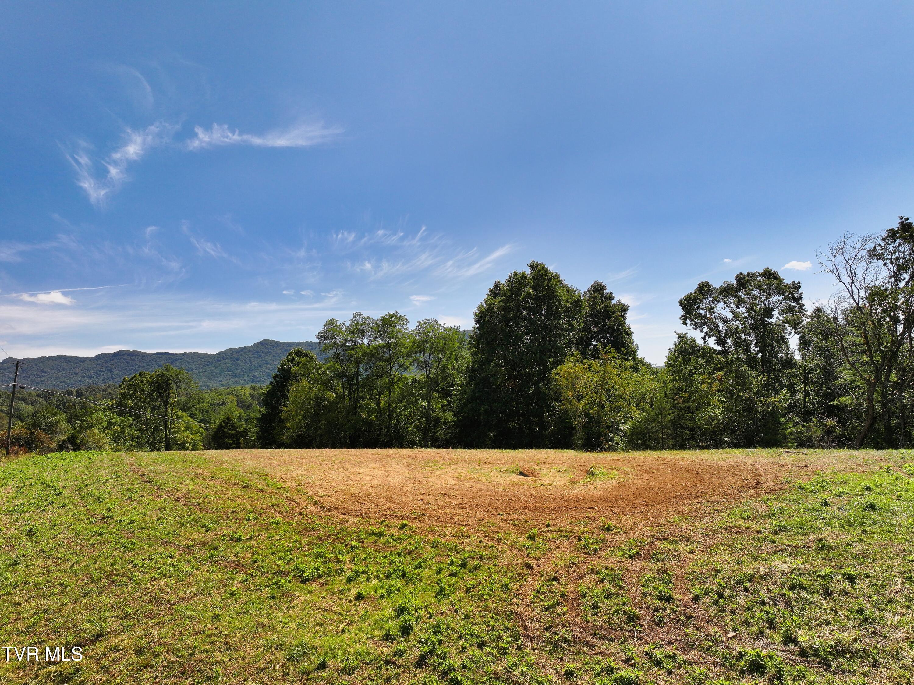 Tbd Tbd Willow Springs Road Cedar Bluff, VA 24609 - Photo 9 of 11 DJI_20250909124049_0018_D-9