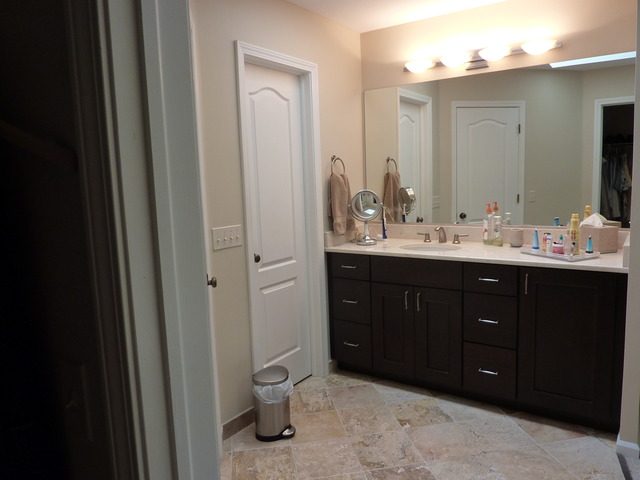631 Raintree Road Buffalo Grove, IL 60089 - Photo 15 of 22 a bathroom with a double vanity sink and mirror