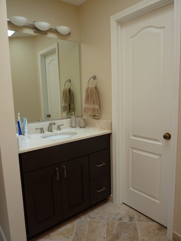 631 Raintree Road Buffalo Grove, IL 60089 - Photo 16 of 22 a bathroom with a double vanity sink mirror and