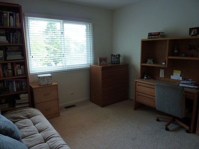 631 Raintree Road Buffalo Grove, IL 60089 - Photo 18 of 22 a room with furniture and a window