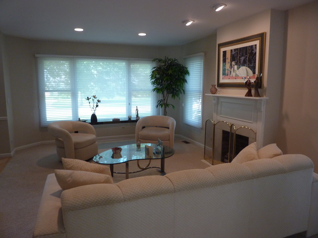 631 Raintree Road Buffalo Grove, IL 60089 - Photo 3 of 22 a living room with furniture and a fireplace